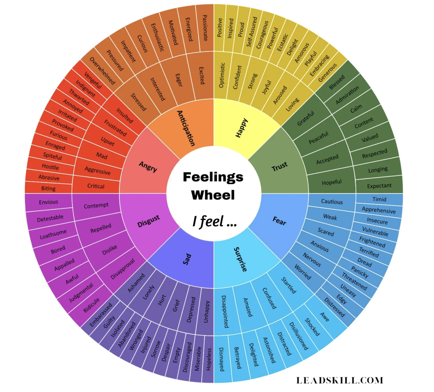 Feelings Wheel